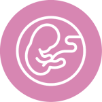 icono para los embriones
